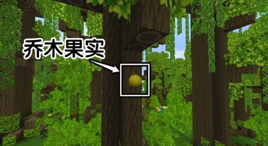 迷你小雨林爆料视频大全,揭秘神秘视频大全背后的奇幻世界 第1张 迷你小雨林爆料视频大全,揭秘神秘视频大全背后的奇幻世界 第1张