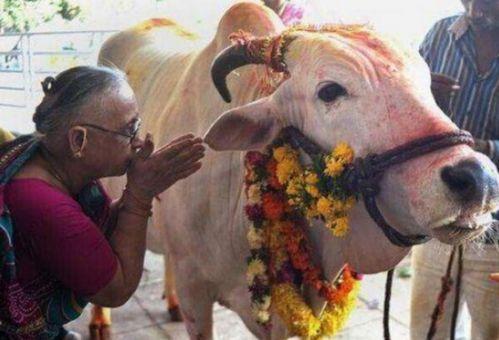 越牛新闻上爆料如何分享 第1张 越牛新闻上爆料如何分享 第1张